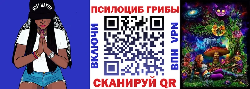 Псилоцибиновые грибы MAGIC MUSHROOMS  Купить где  Краснодар 